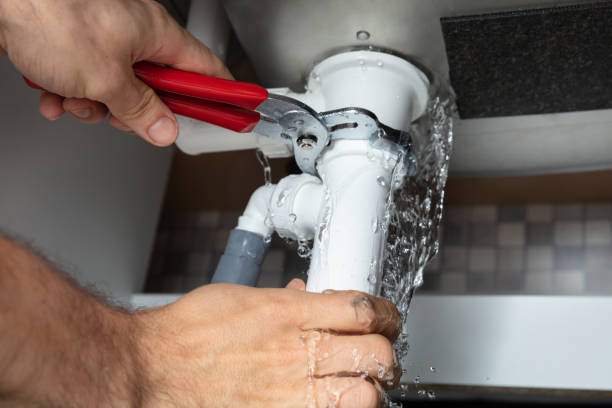 Best Flood damage cleanup  in Lathrop, MO