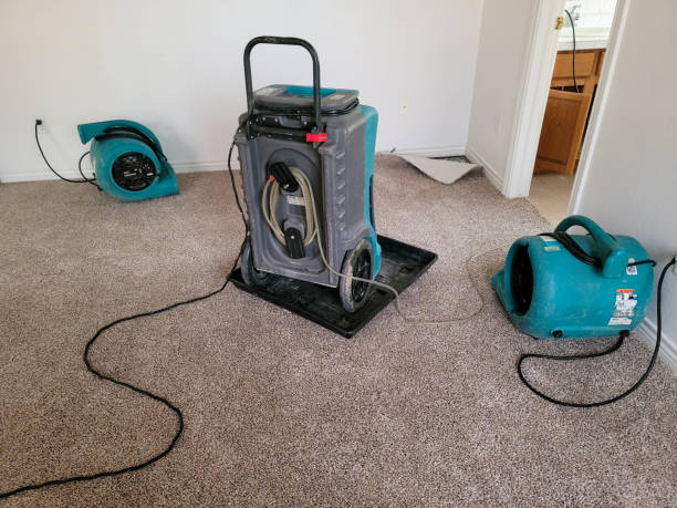 Best Flood damage cleanup  in Lathrop, MO