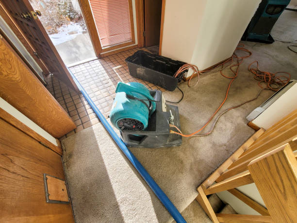 Professional Water damage restoration in Lathrop, MO