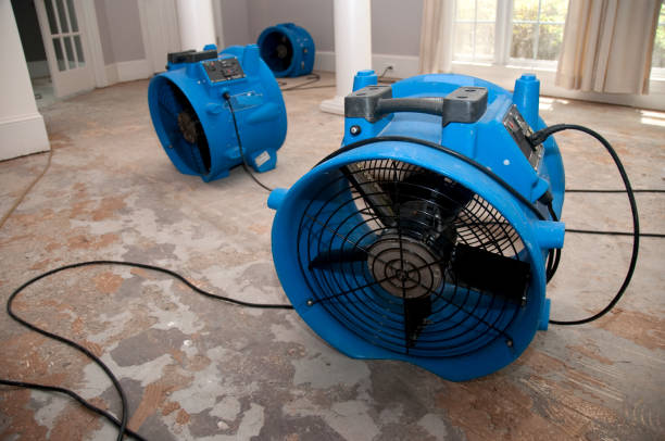 Best Water damage cleanup near me  in Lathrop, MO