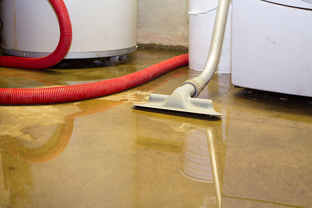 Best Local water damage restoration  in Lathrop, MO