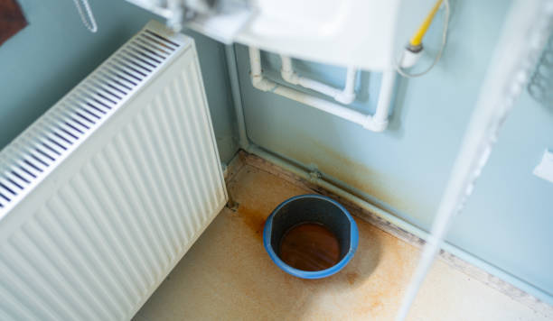 Best Water damage restoration specialists  in Lathrop, MO