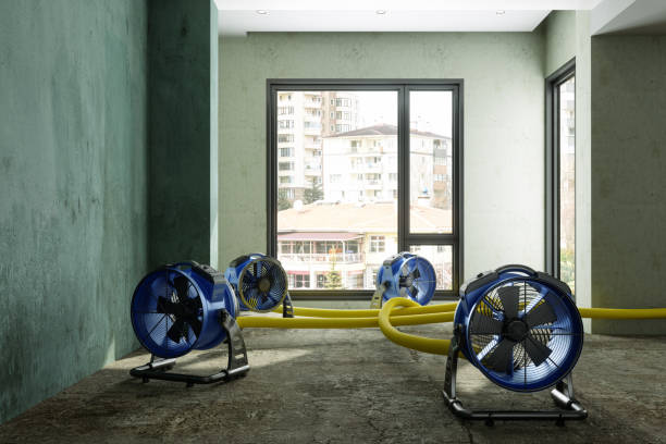 Best 24-hour water damage restoration  in Lathrop, MO